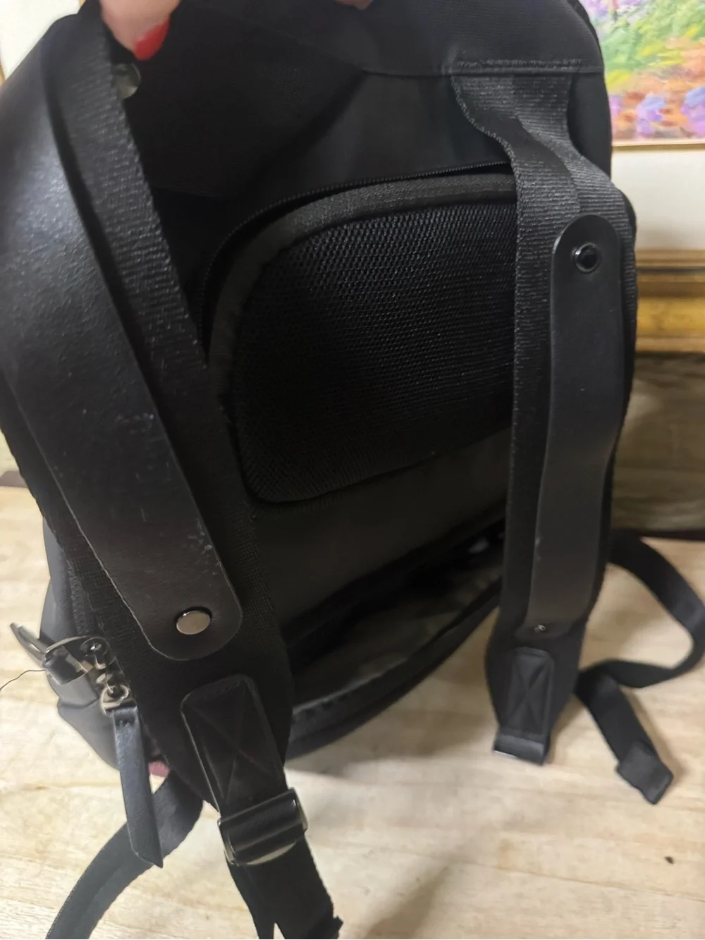 Sherpani anti theft travel backpack